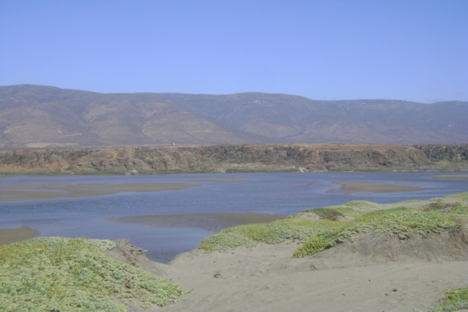 Vista panorámica del Humedal Huentelauquén, desde ribera norte